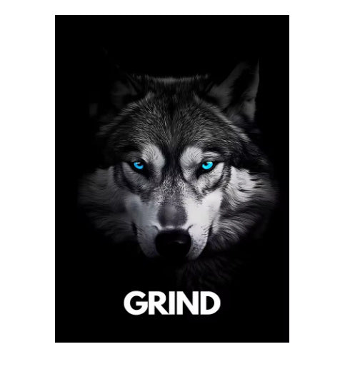Apex Mindset Posters